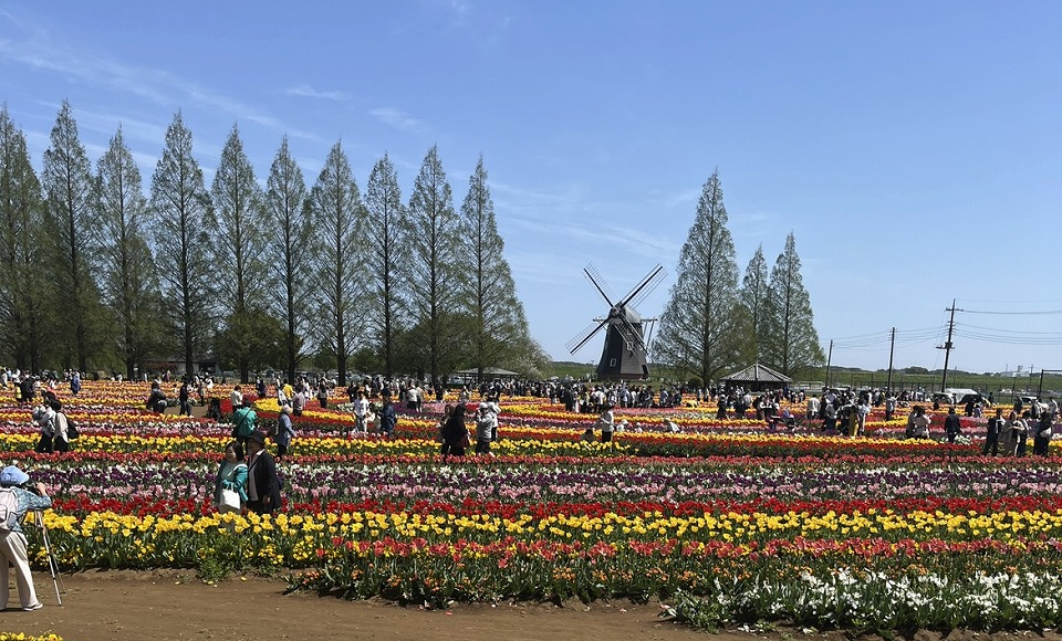 『あけぼの山公園』