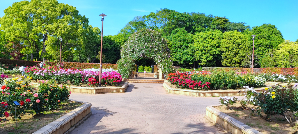 柏の葉公園