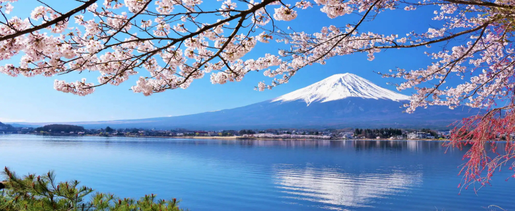 富士山・桜